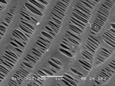 polypropylene-membrane-hollow-fiber-SEM-microscope-pore.jpg